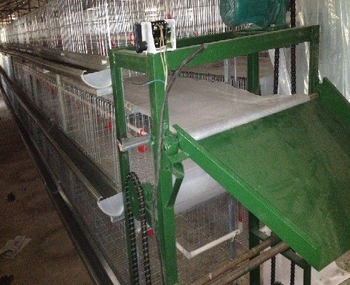 蛋鸡设备传送带式清粪机常见的这些问题你都知道吗？？？？？？