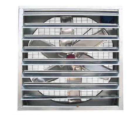 如何确保蛋鸡设备有效通风？？？？？？？