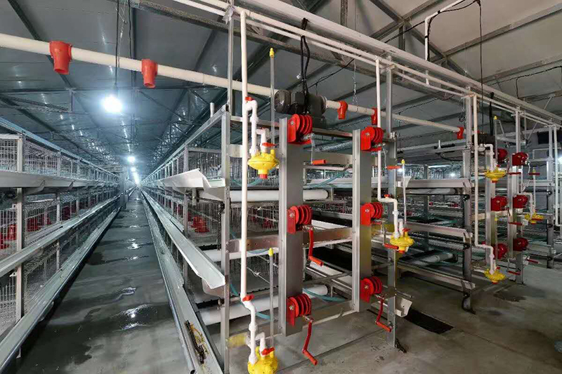 肉鸡设备喂料机为什么会堵塞？？？？？？？