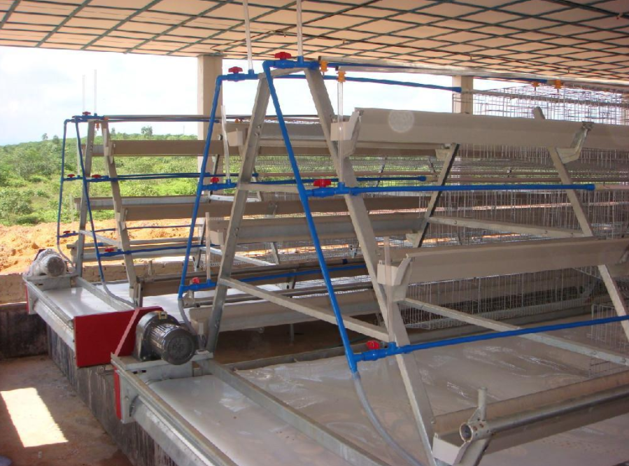 检修全自动养鸡设备的安全有什么需要注意的事项吗？？？？？？？