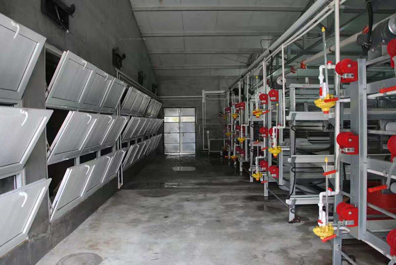 如何管理肉鸡养殖场的肉鸡设备？？？？？？？？