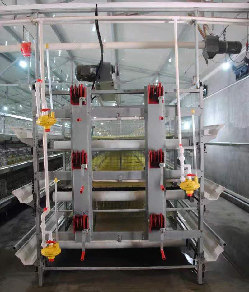 电脑自动喂肉鸡设备养鸡要注意什么