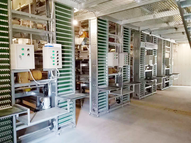 蛋鸡设备的养殖密度是怎样的呢？？？？？？